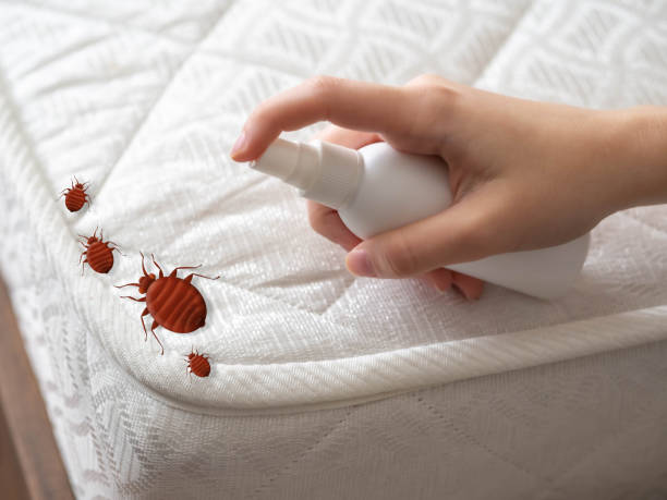 Best Indoor Pest Control  in Bedford Heights, OH